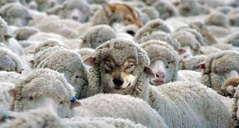 PROPHECY                  True and False