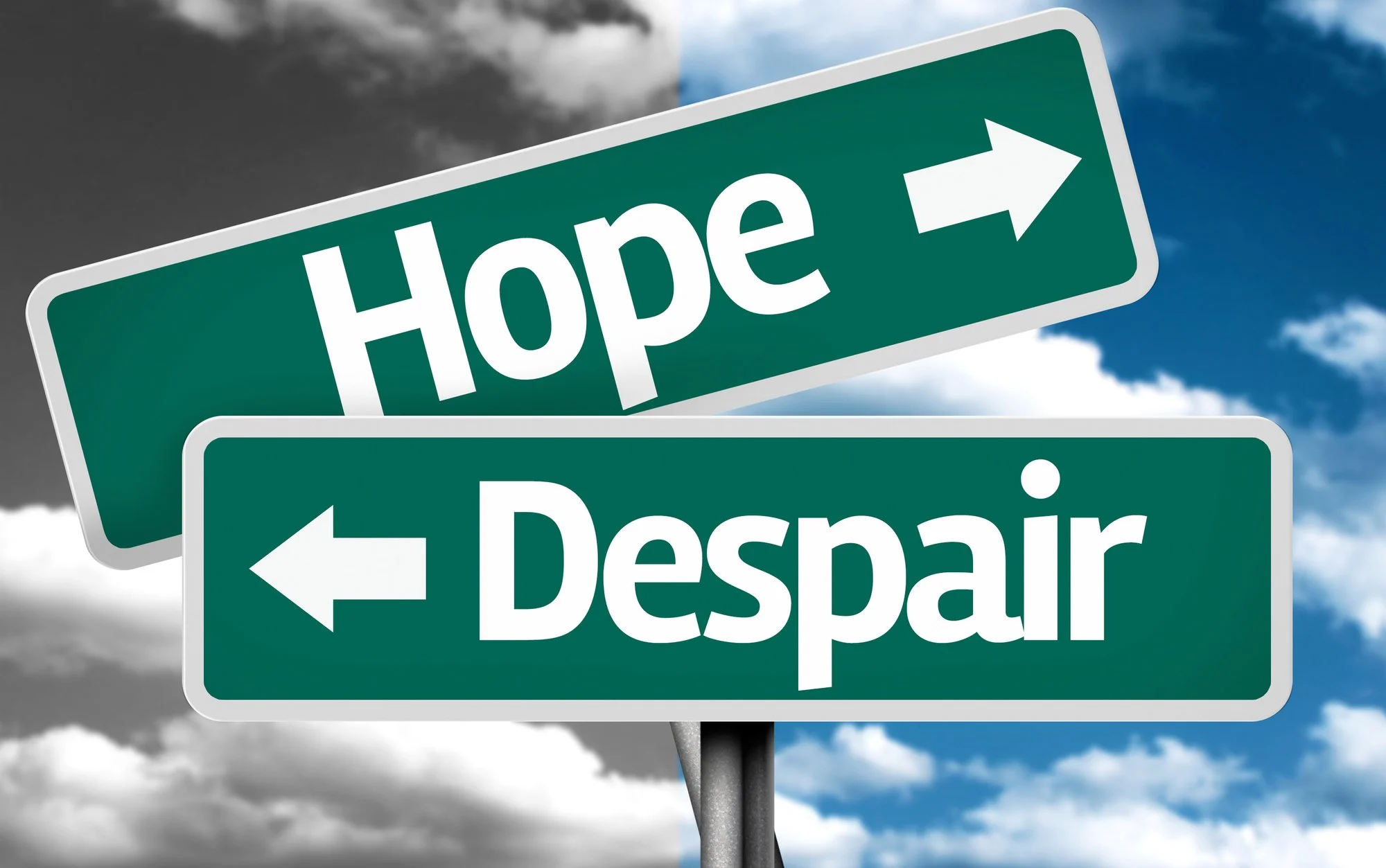 Psalm 51  Hope in Despair 