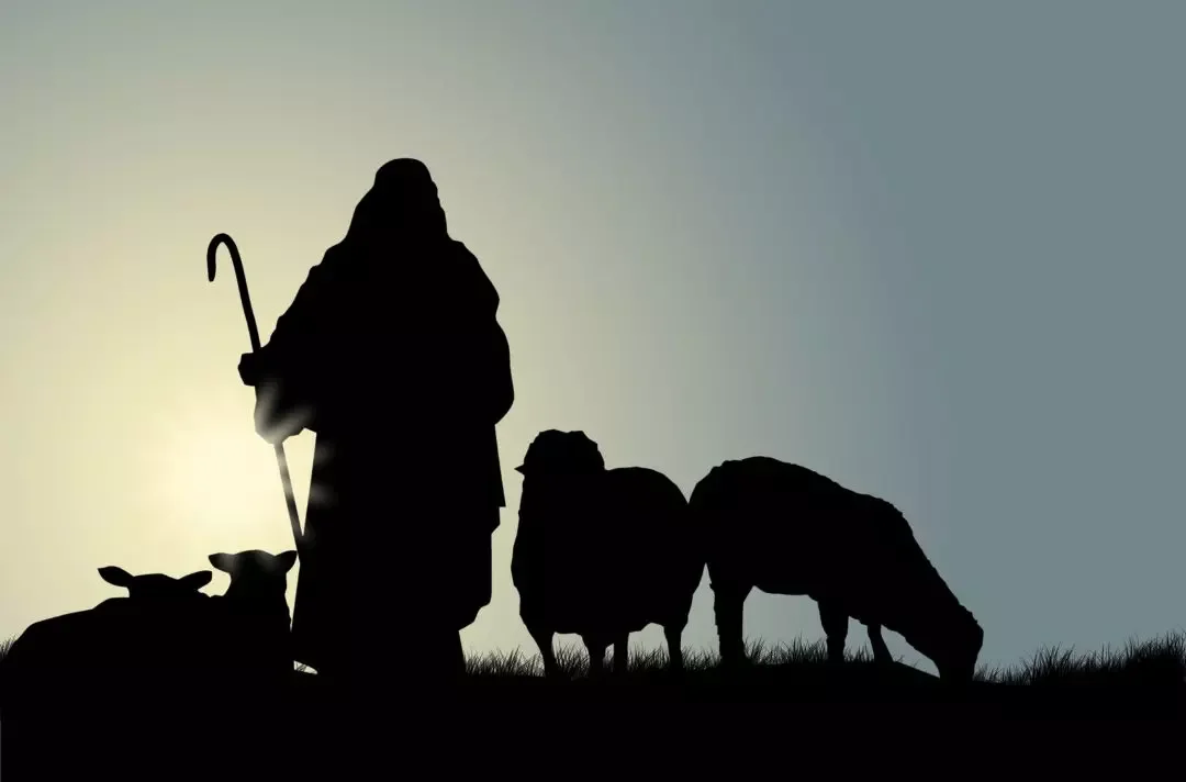Matthew 9-10   ‘The Good Shepherd’