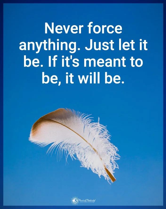 The Culture of Softness 