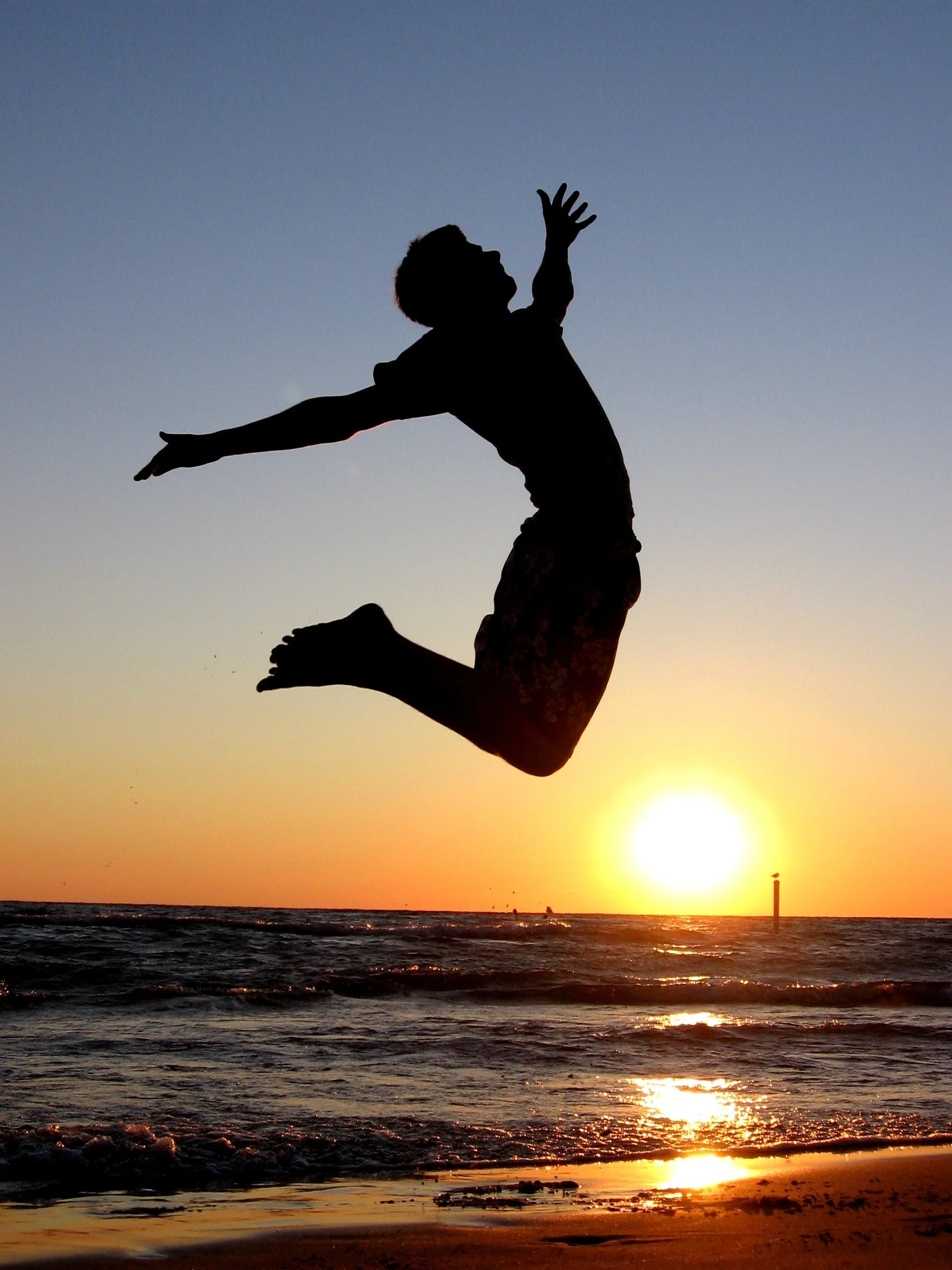 The Bible’s Answer for Those Seeking Fulfilment, Joy and Purpose