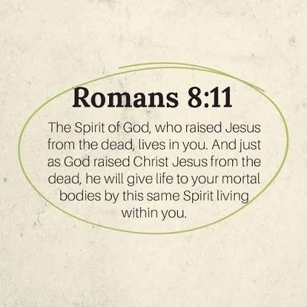 Matthew 9:18–26 &nbsp; ‘Not dead but sleeping’