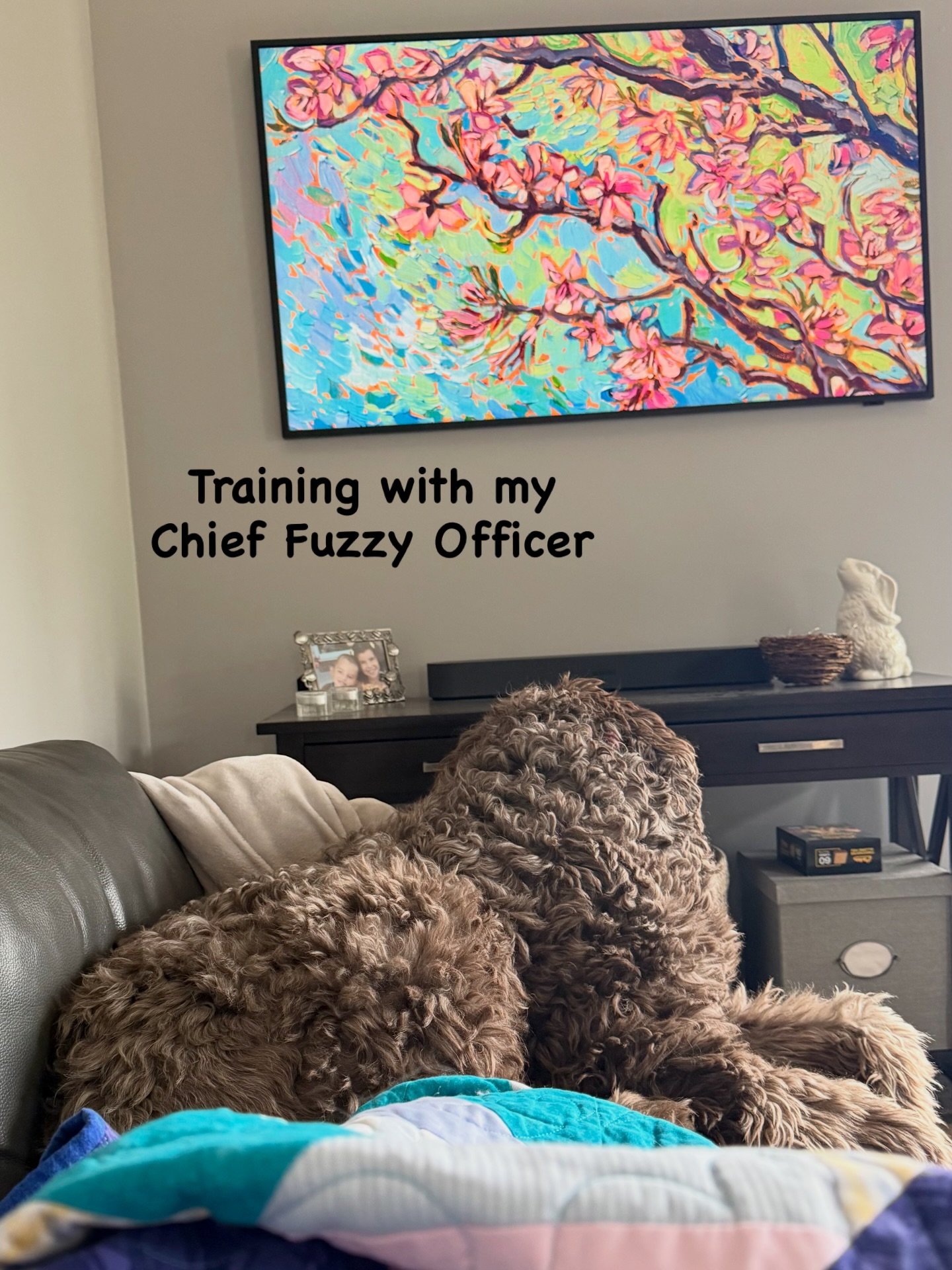 Working on the couch part of &ldquo;couch to 5k&rdquo;
😂🐾

#personaltrainer #recovery #nap #doodle #resilience