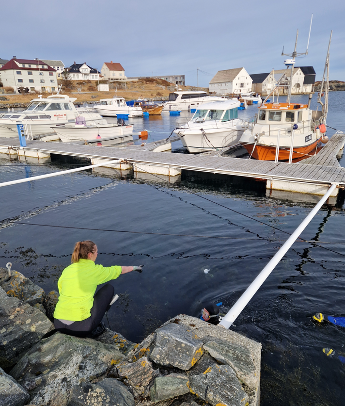 Skjermbilde 2026-03-09 155906.png