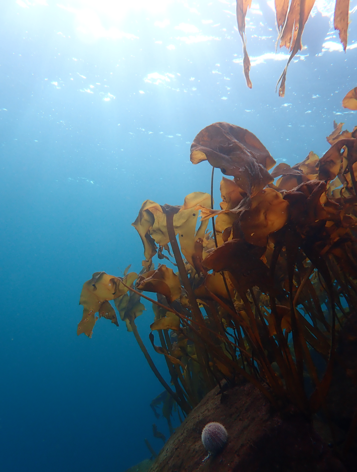 Skjermbilde 2026-03-09 155915.png