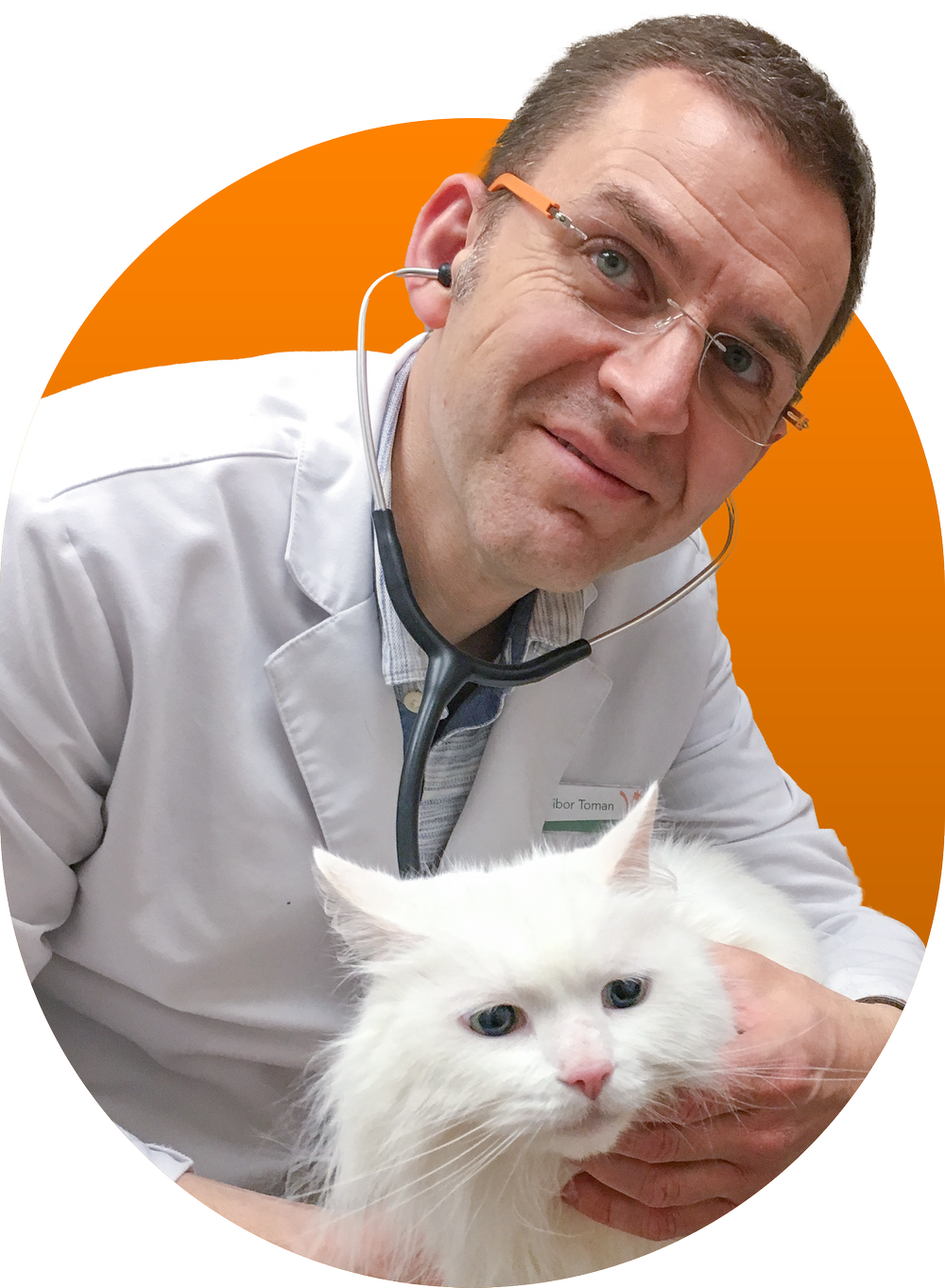 Services — Prince Edward Animal Clinic