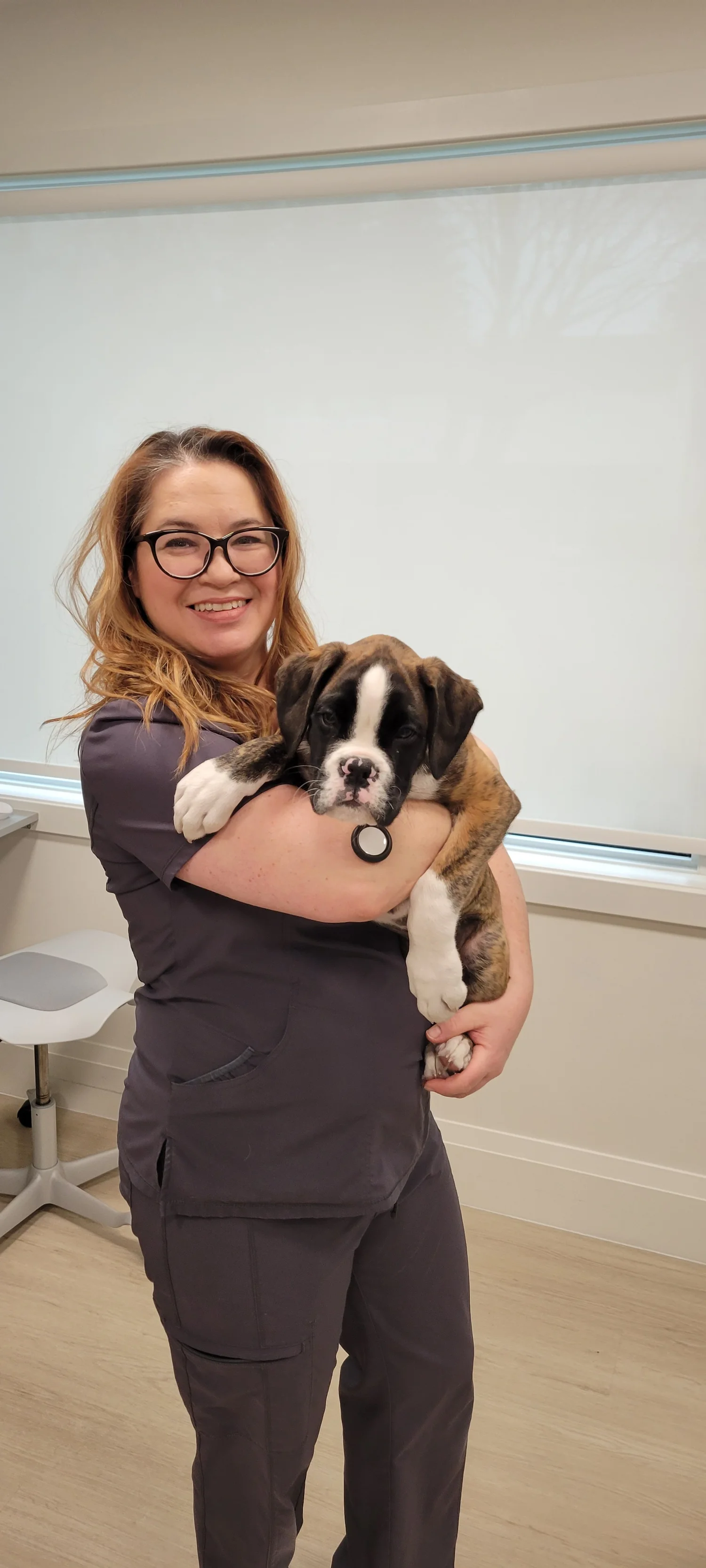 About — Prince Edward Animal Clinic