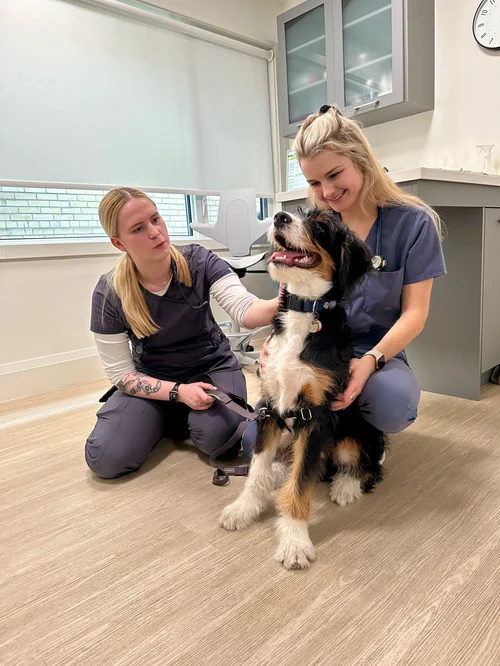 About — Prince Edward Animal Clinic