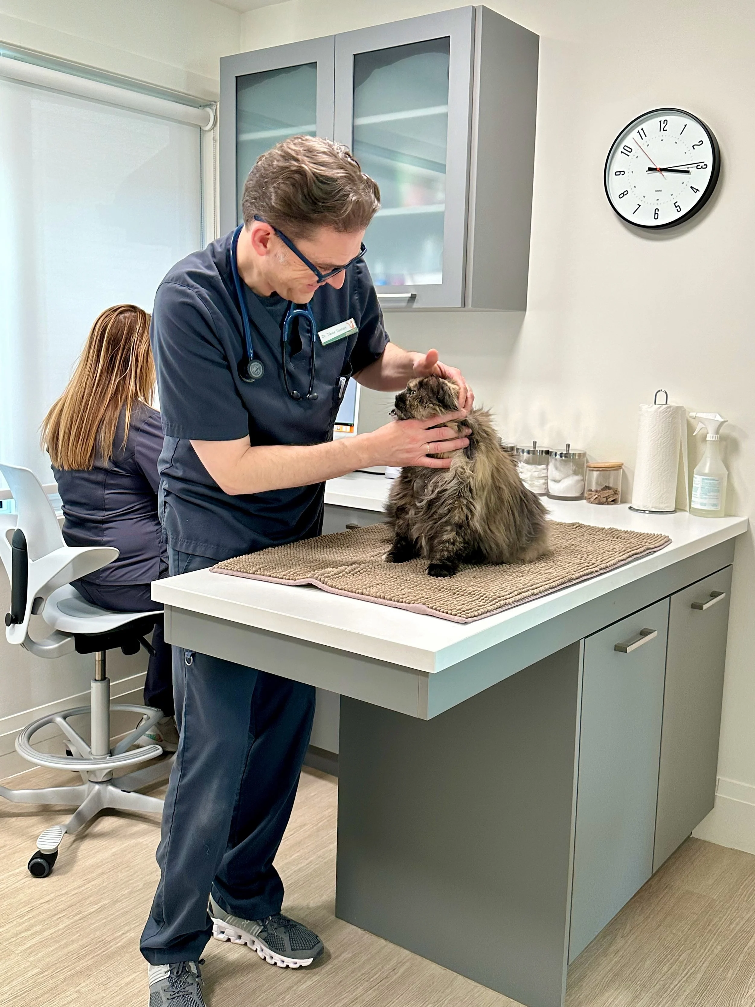 About — Prince Edward Animal Clinic