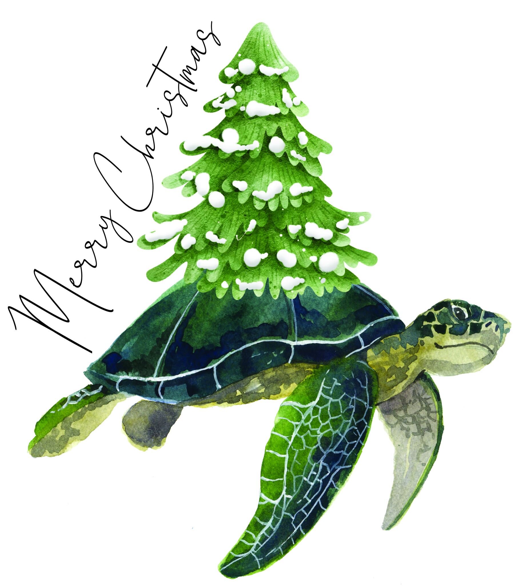 Wishing everyone a very Merry Christmas!!! 🐢🎄

#savetheturtles #seaturtleeducation #hiltonheadisland #seaturtles #loggerheadseaturtle #keepthebeachclean #seaturtlenestingseason2024 #puthebeachtobed  #hiltonhead  #hhisland #hiltonheadsc #savetheseat