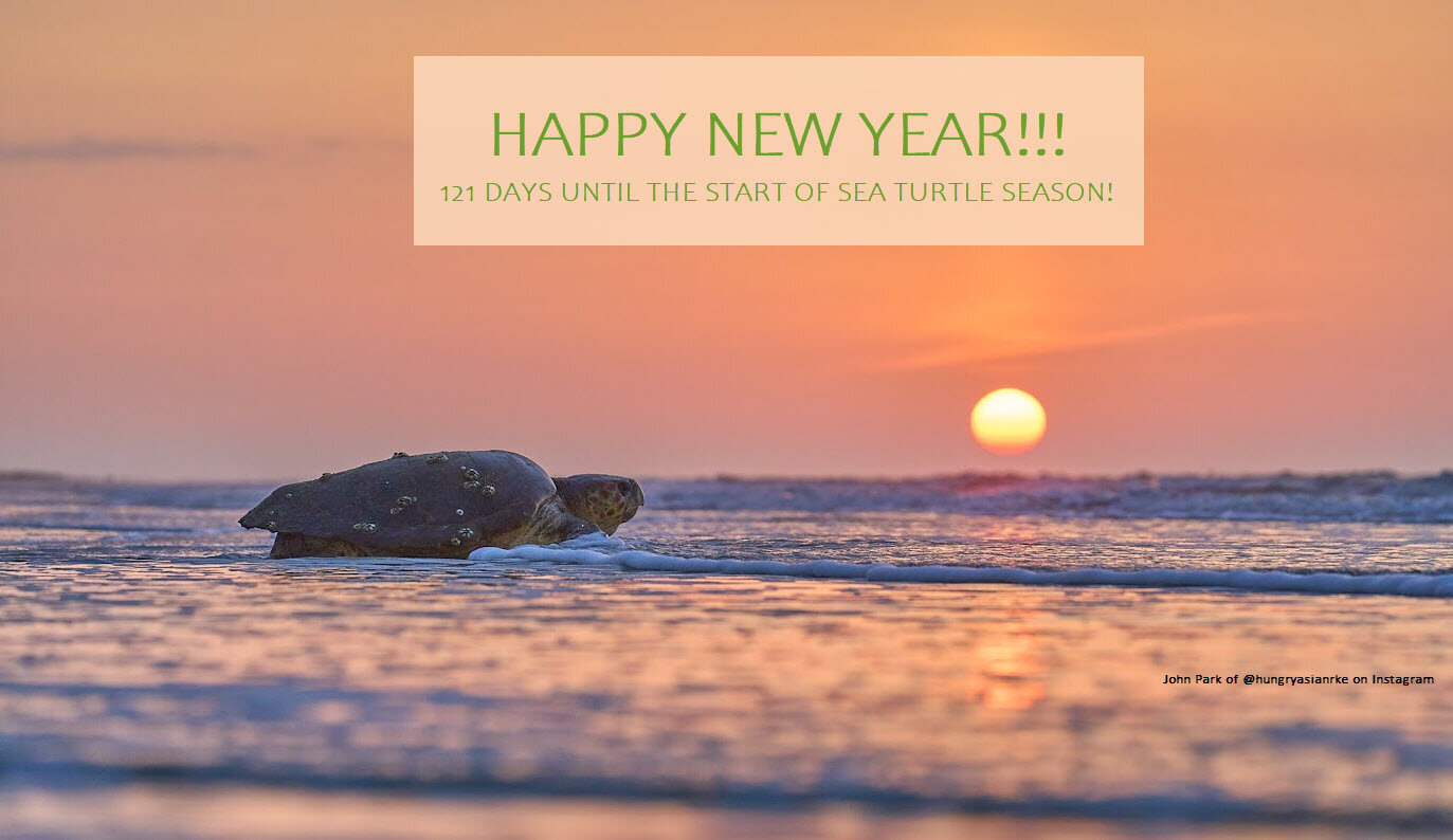 Happy 2024!!! Wishing you a safe, healthy and happy new!!!

#savetheturtles #seaturtleeducation #hiltonheadisland #seaturtles #loggerheadseaturtle #keepthebeachclean #seaturtlenestingseason2024 #puthebeachtobed  #hiltonhead  #hhisland #hiltonheadsc #