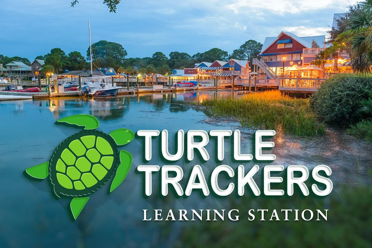 Turtle Trackers Learning Station-Salty Dog