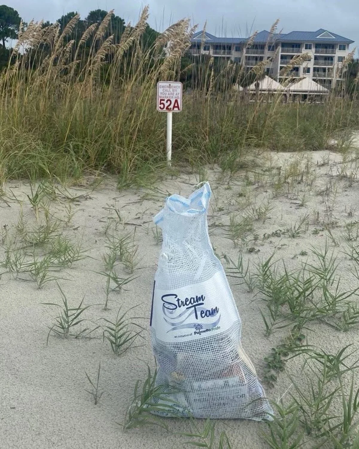 Join us for the Turtle Trackers Sea Pines Beach Sweep!

Event Details

Wednesday, April 22nd (Earth Day)
Meeting Location: Sea Pines Beach Club or Tower Beach at the end of the boardwalks 
Time: 8:00 AM - 9:00 AM

Trash bags will be provided.  Please