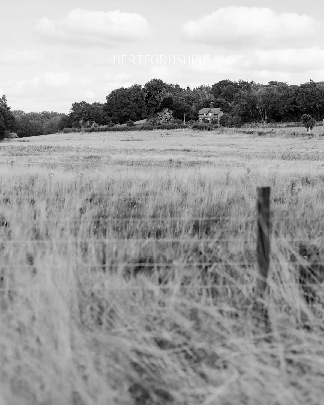Hertfordshire.

Although I grew up in Dorset, I was born in Hertfordshire, and by chance in the same hospital as my bride, Alice.

It was really special for Alice to get ready at her Grandmothers house. Everyone felt really relaxed. In amongst the ty