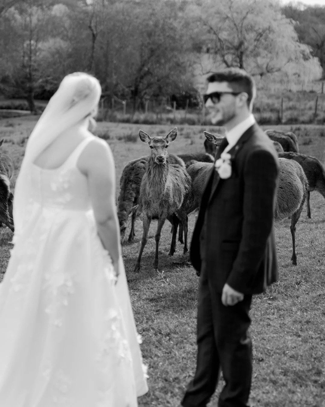 Where the wild wanders a little closer.

The team:

Venue @burleymanorbarnweddings 
MUA @lccbeauty.clients 
Hair @emimayhair 
Video @ground.films 
Florals @businessisbloomingmilton 
Stylist @houseofstyling_ 
Photobooth @switswoophotobooths 

The newl