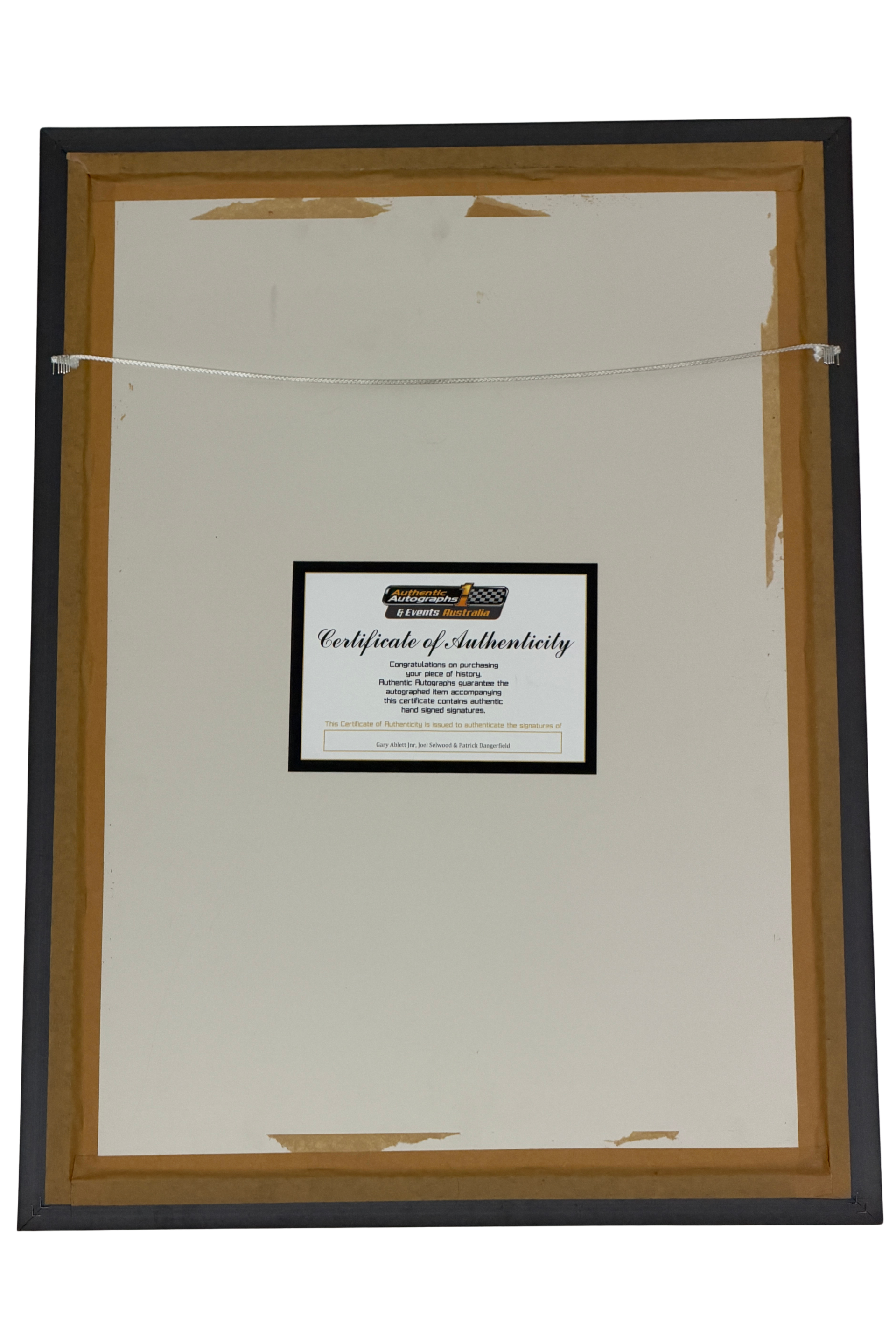 Back of Gary Ablett Jnr, Patrick Dangerfield & Joel Selwood Signed & Framed Geelong Cats AFL Poster