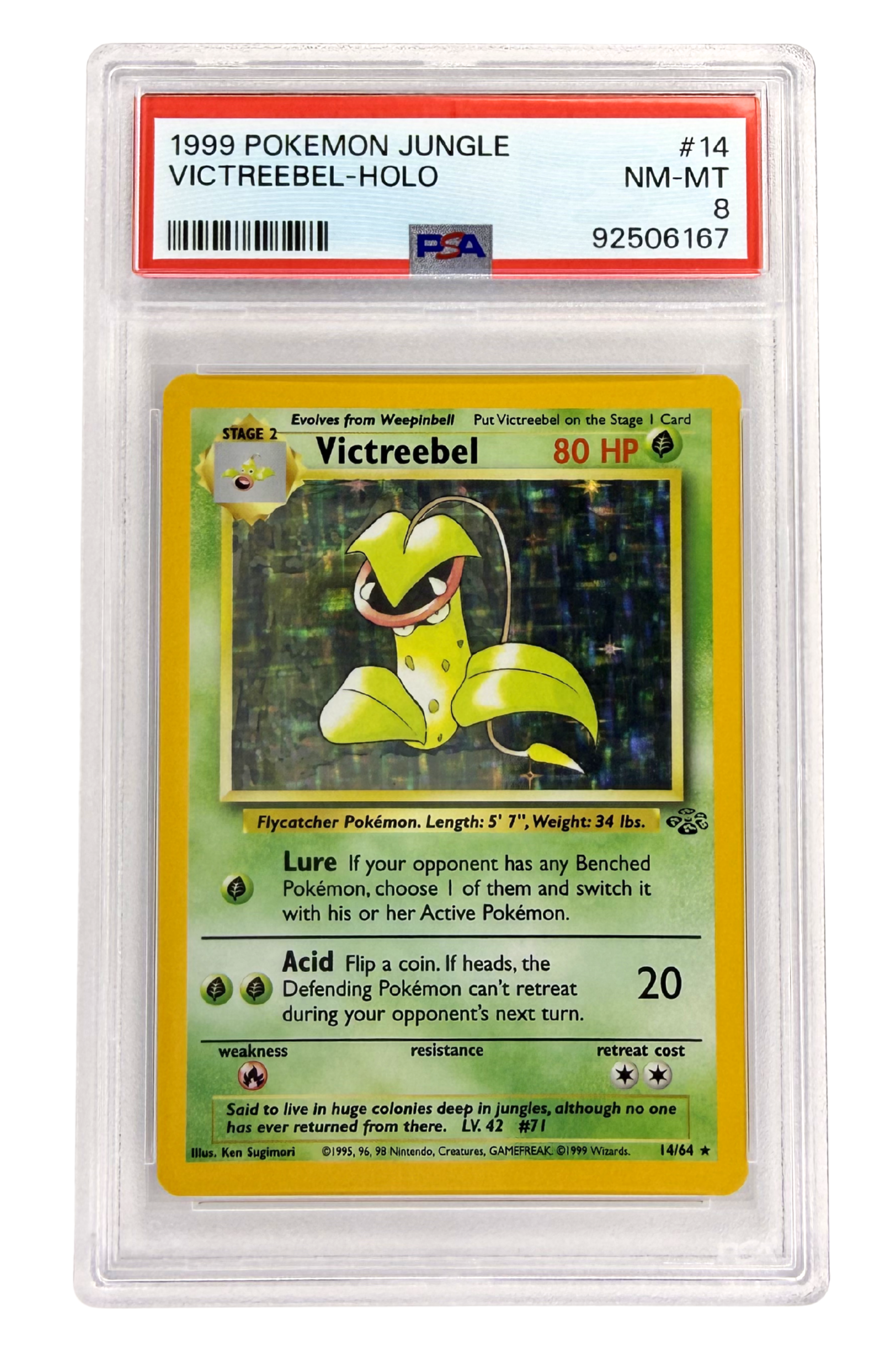 GRADED 8.0 HOLO Victreebel - Jungle #14 of #64