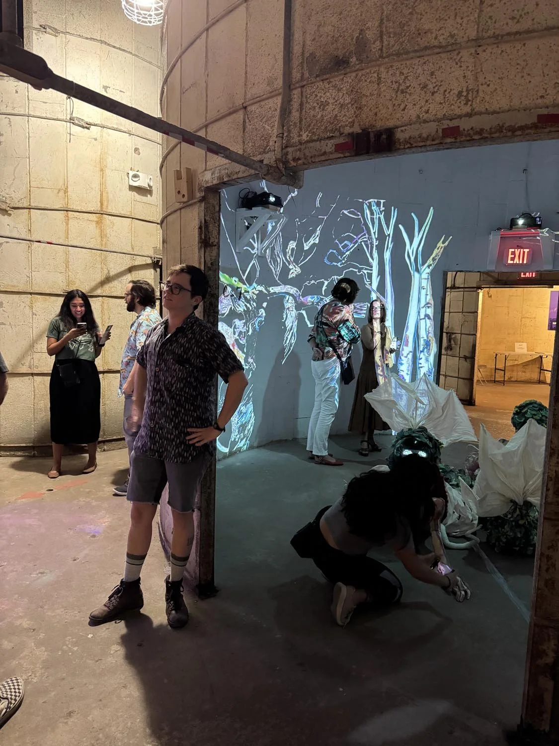 Elizabeth Chapin's installation "Fish Gyrl, Fish Crone"