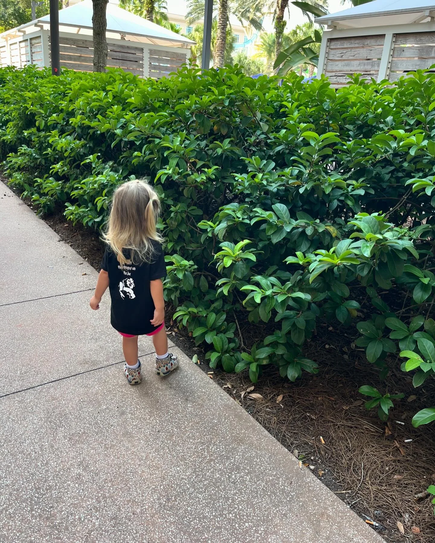 We have moved outside to look at the plants. Come get one of the remaining kicker drawer magnets. We are right out the show room doors behind the table With the books