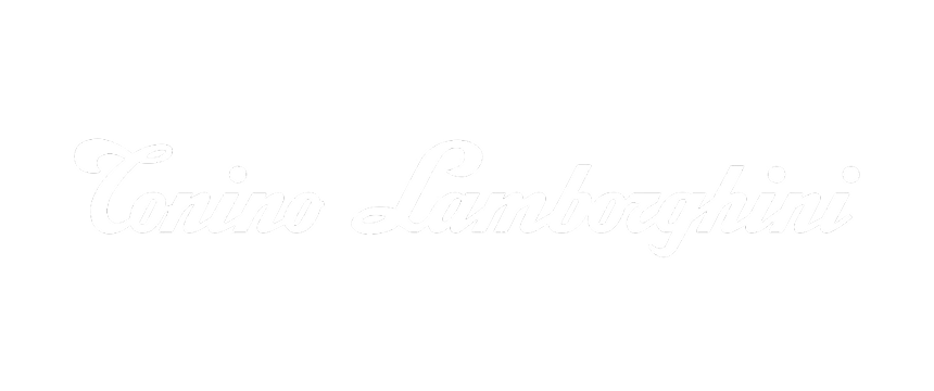 Text reading 'Tonino Lamborghini' in white cursive font on a black background.