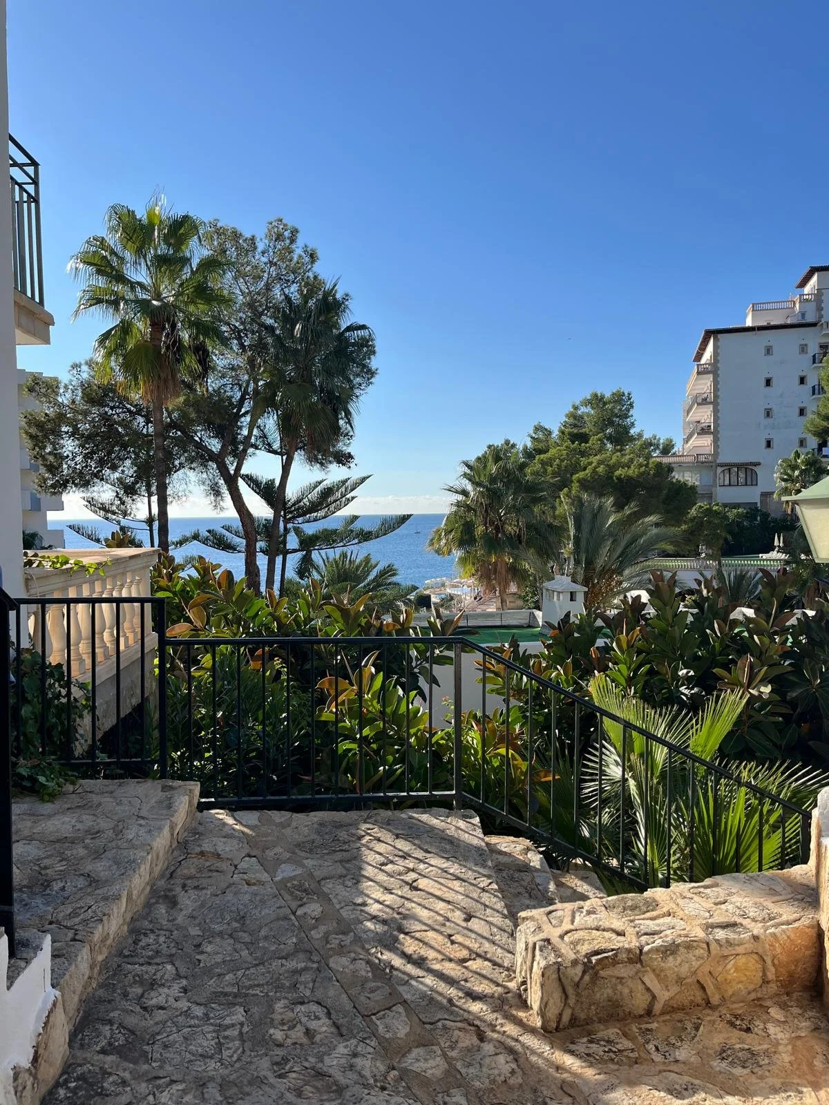 WhatsApp Image 2025-10-30 at 12.56.36.jpeg