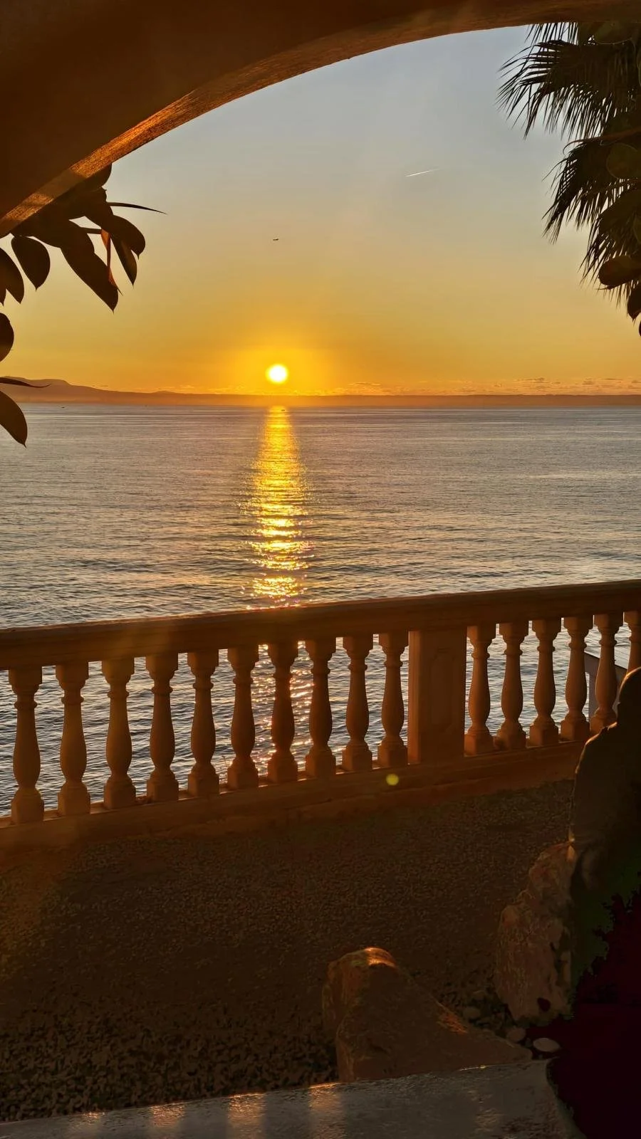 WhatsApp Image 2025-10-30 at 12.58.45 (16).jpeg