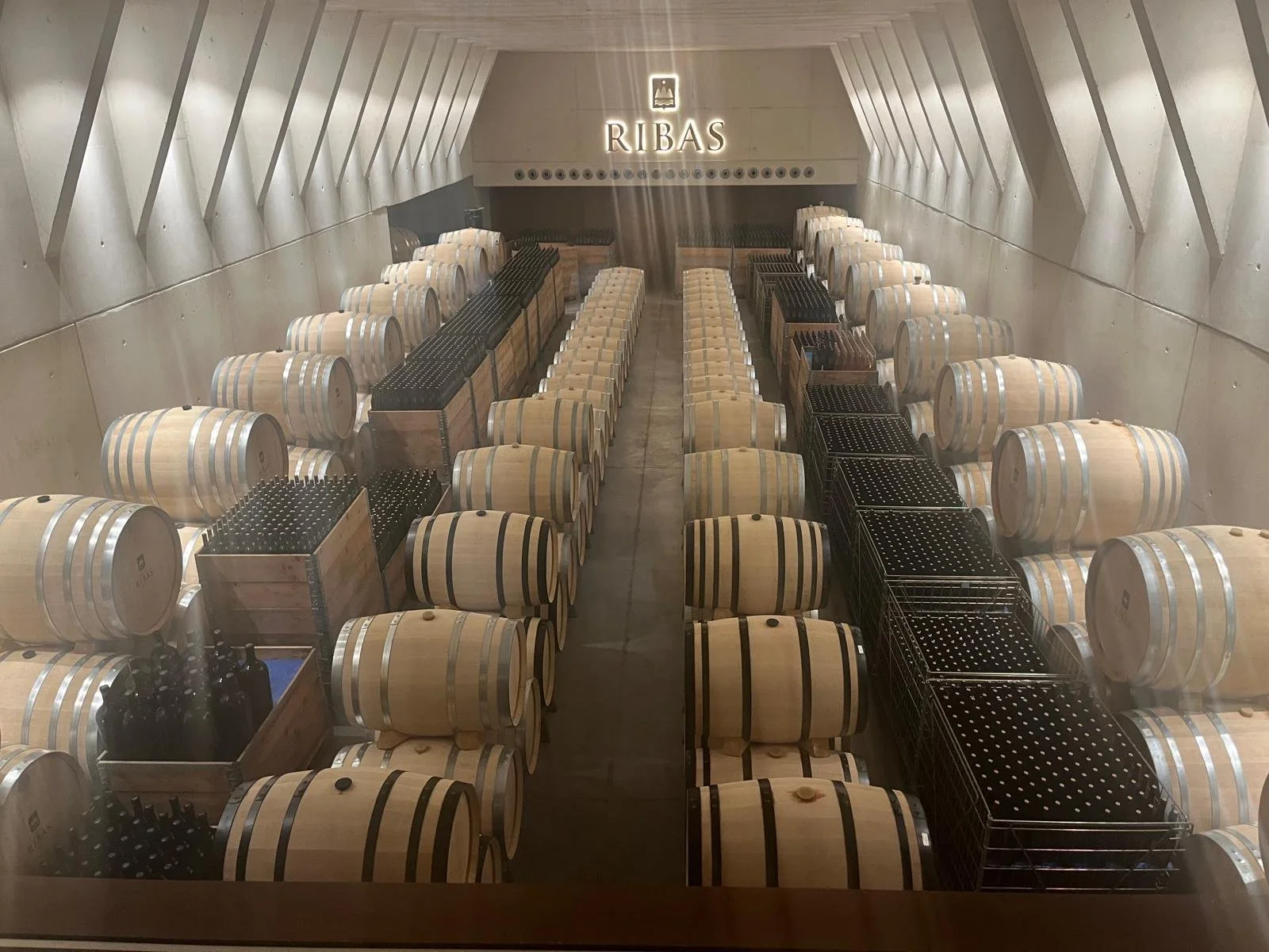 WhatsApp Image 2025-10-30 at 12.58.44 (10).jpeg