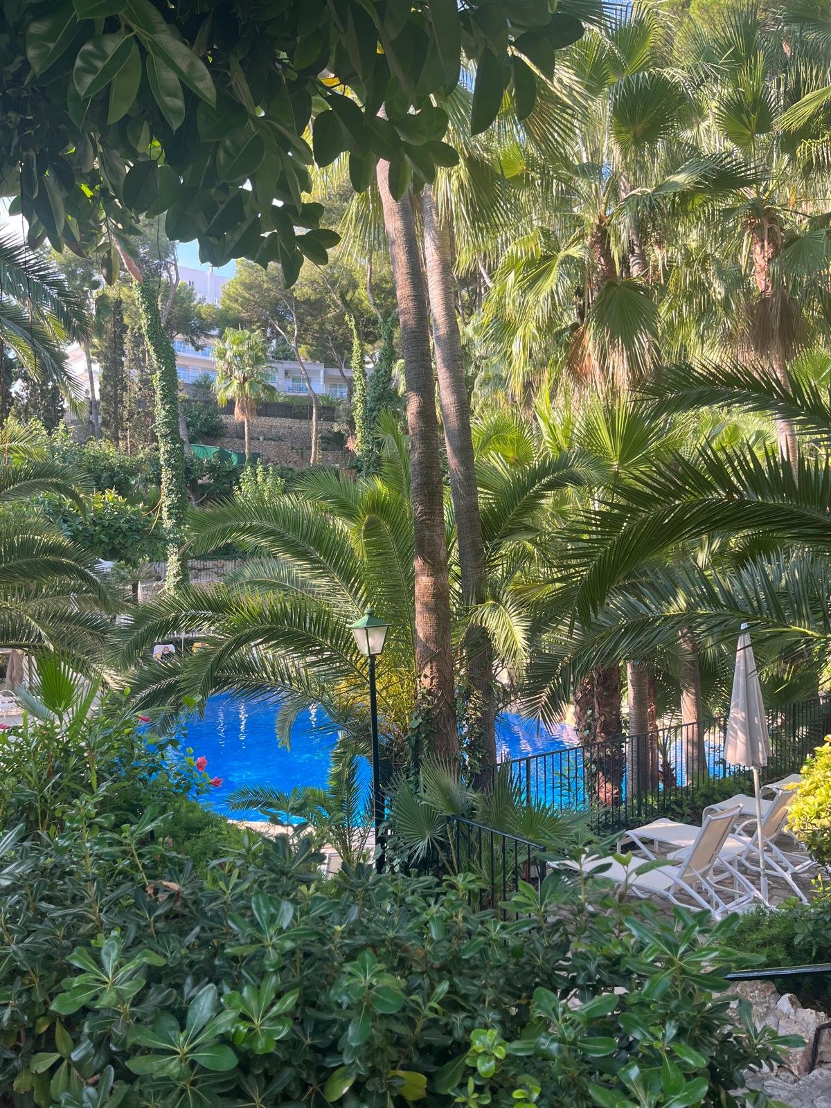 WhatsApp Image 2025-10-30 at 12.52.00 (6).jpeg