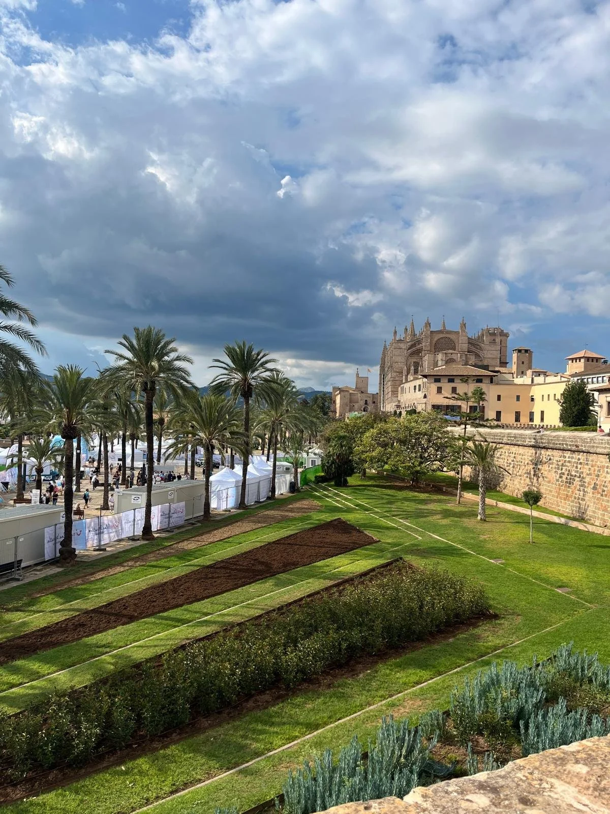 WhatsApp Image 2025-10-30 at 12.54.24 (25).jpeg