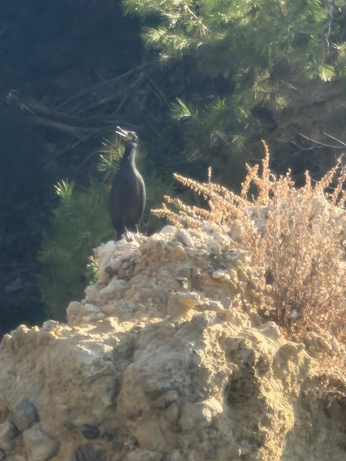 WhatsApp Image 2025-10-30 at 12.52.03 (2).jpeg