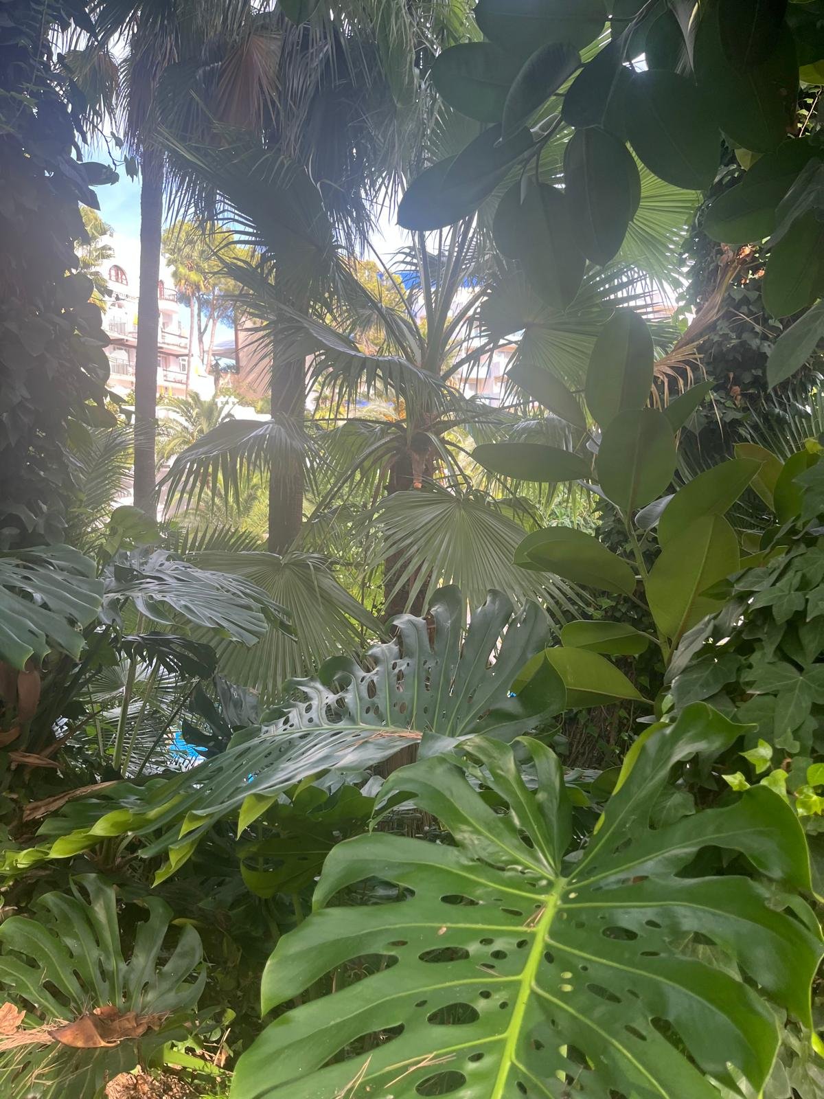 WhatsApp Image 2025-10-30 at 12.58.45 (6).jpeg