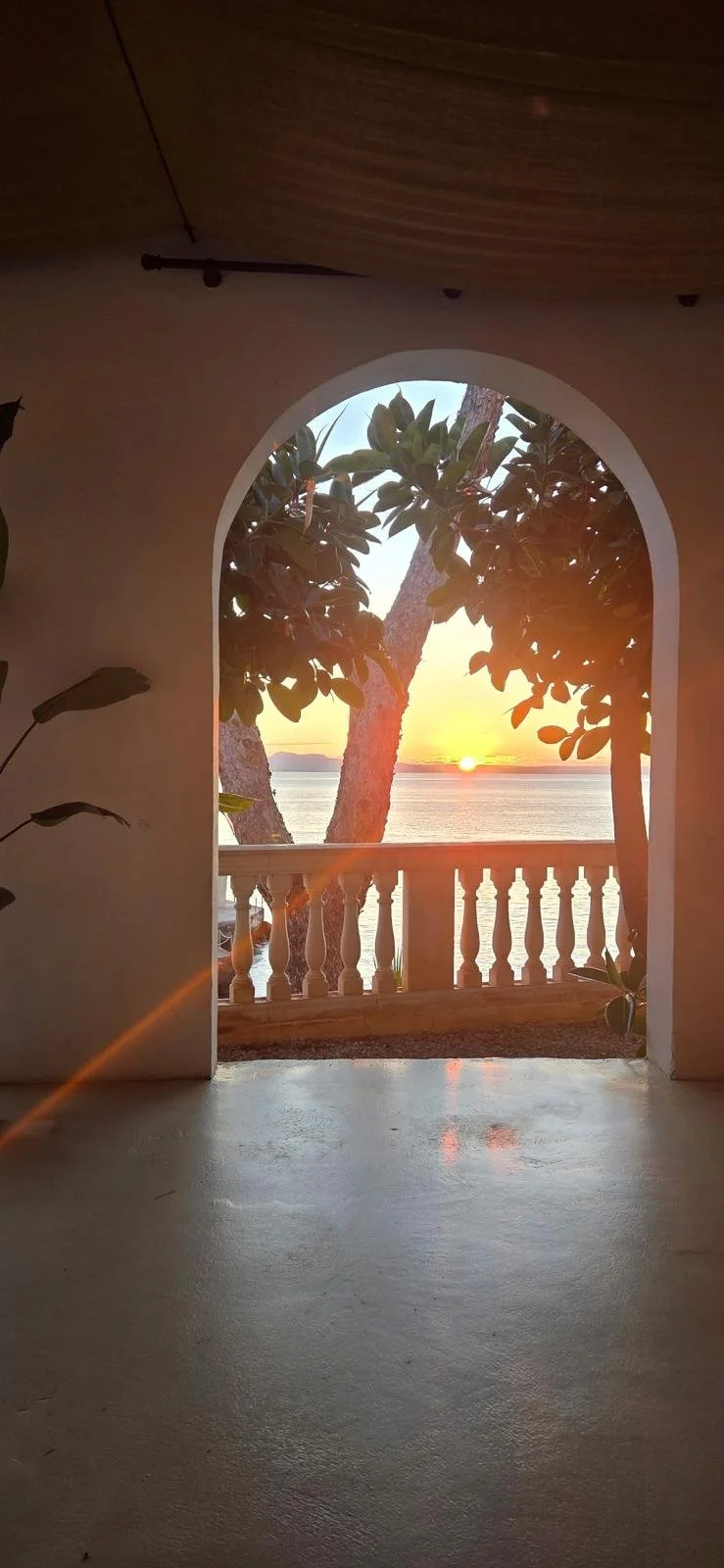 WhatsApp Image 2025-10-30 at 12.56.36 (13).jpeg