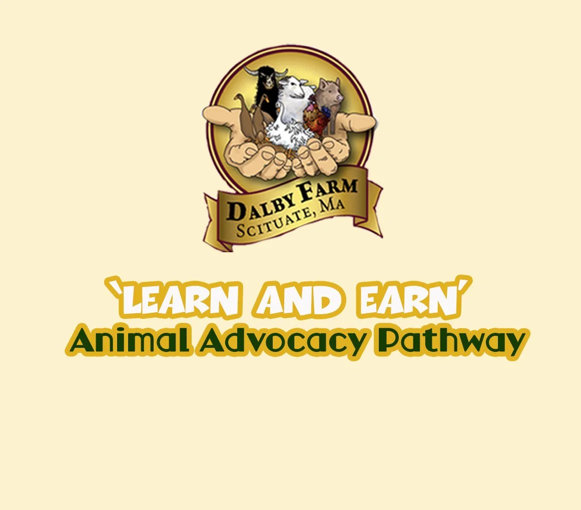 Animal Advocate Foundations: Intro to 'Learn & Earn' - Kids
