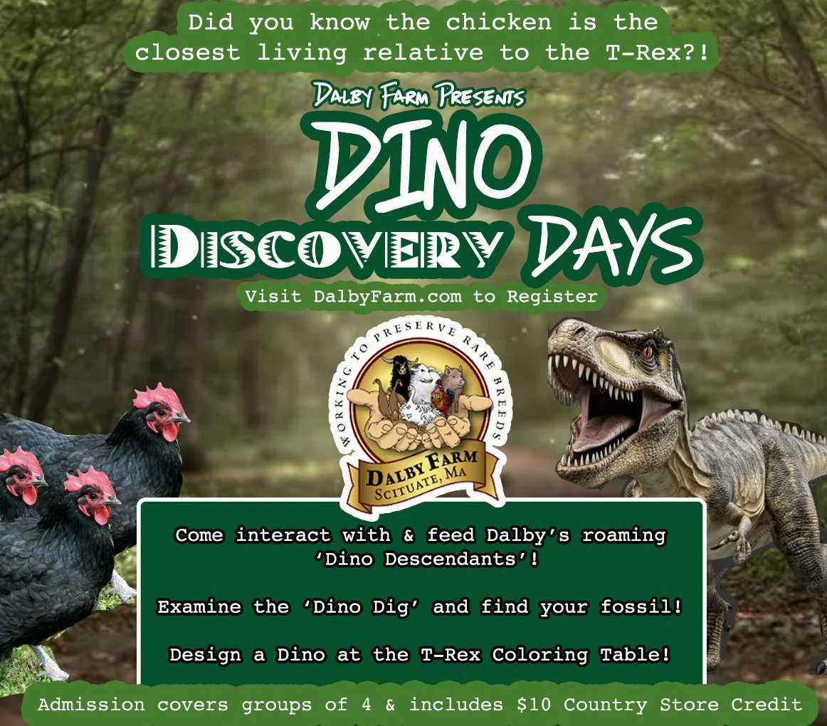 Dino Discovery Days