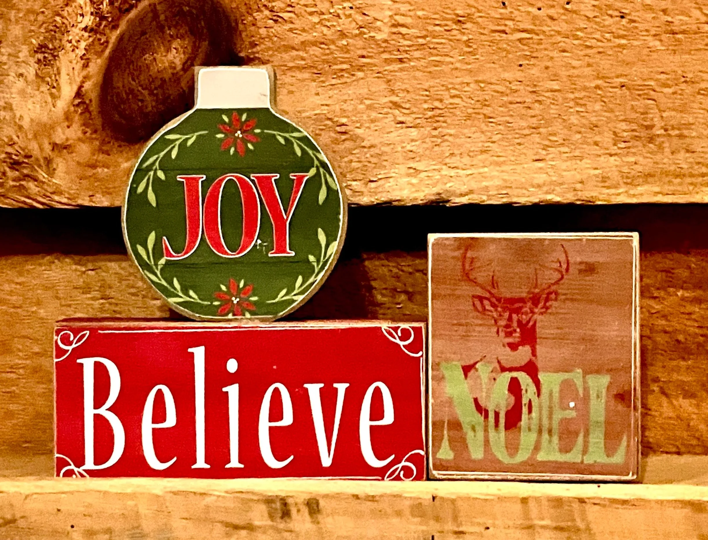 Joy Believe Noel Chunky Sitter