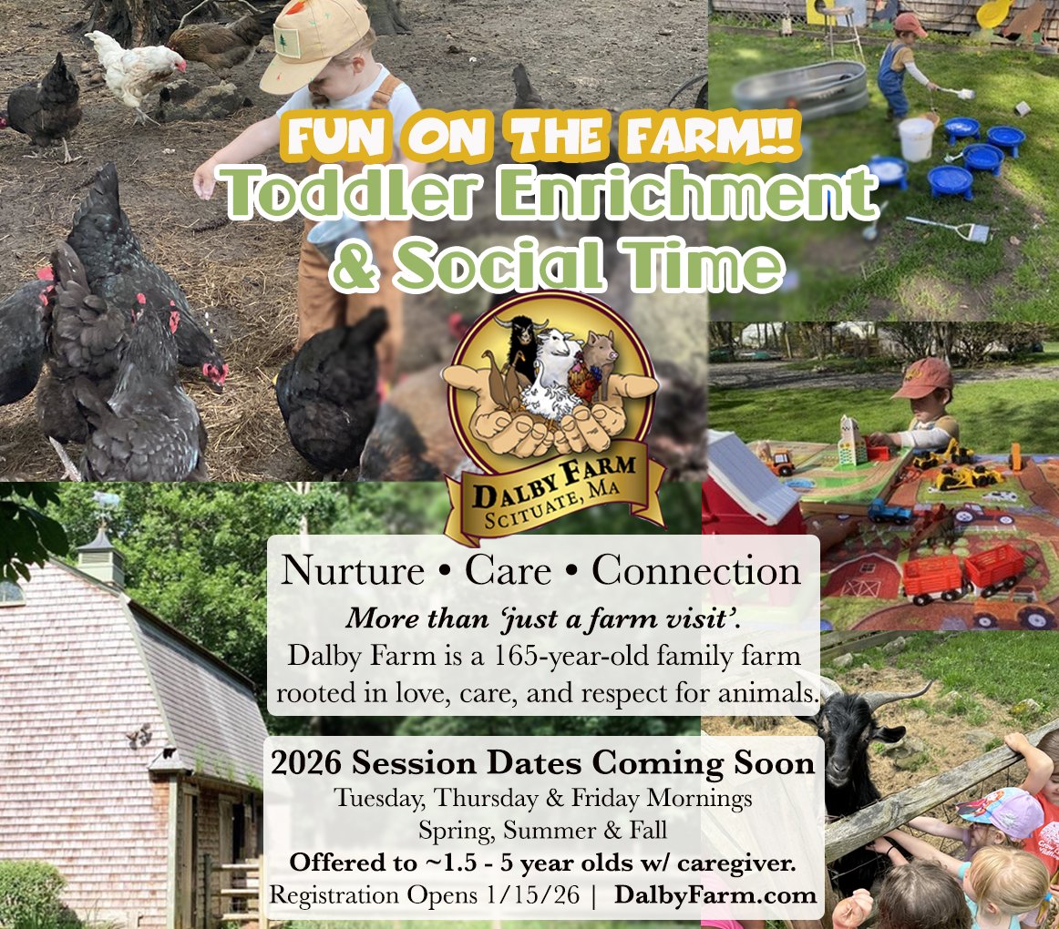 2026 toddler promo copy.jpg