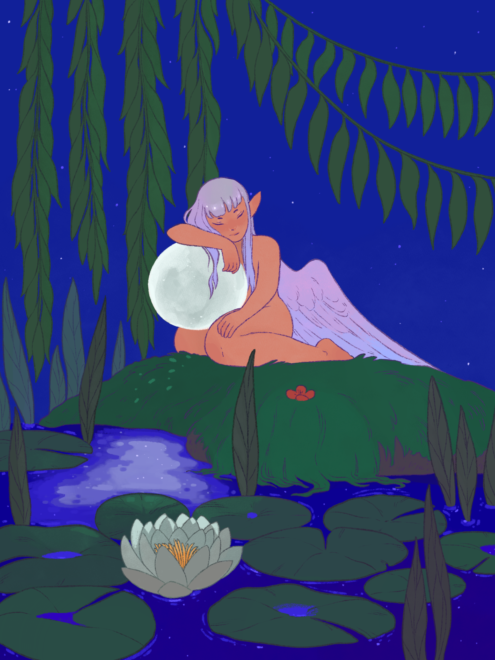 IMG_8433.PNG
