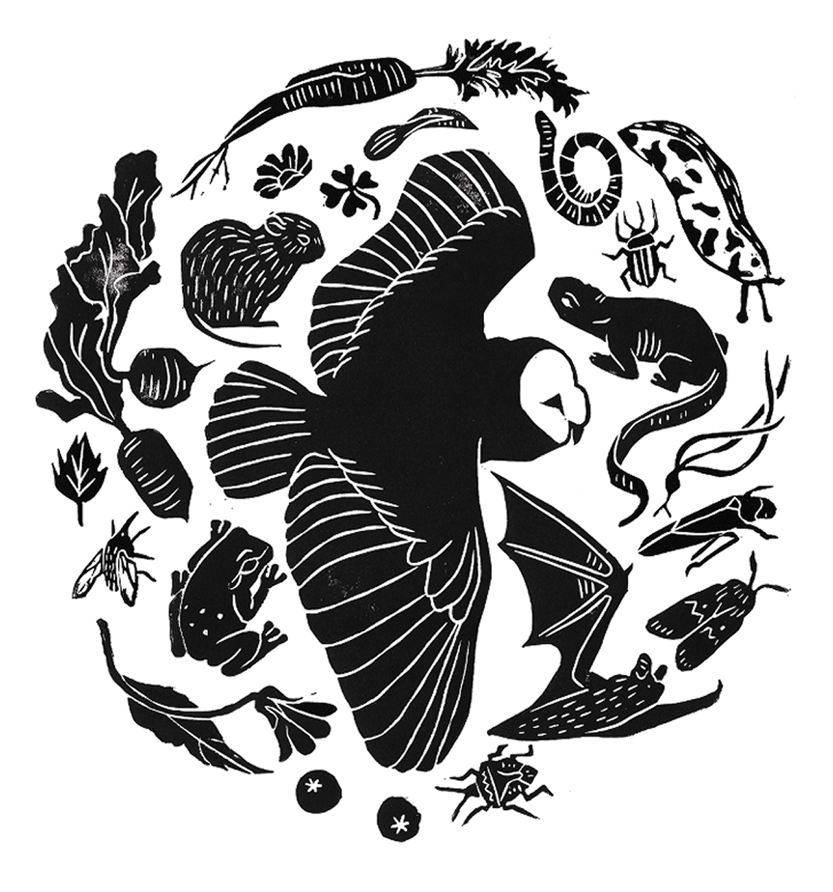 Illustration2.png
