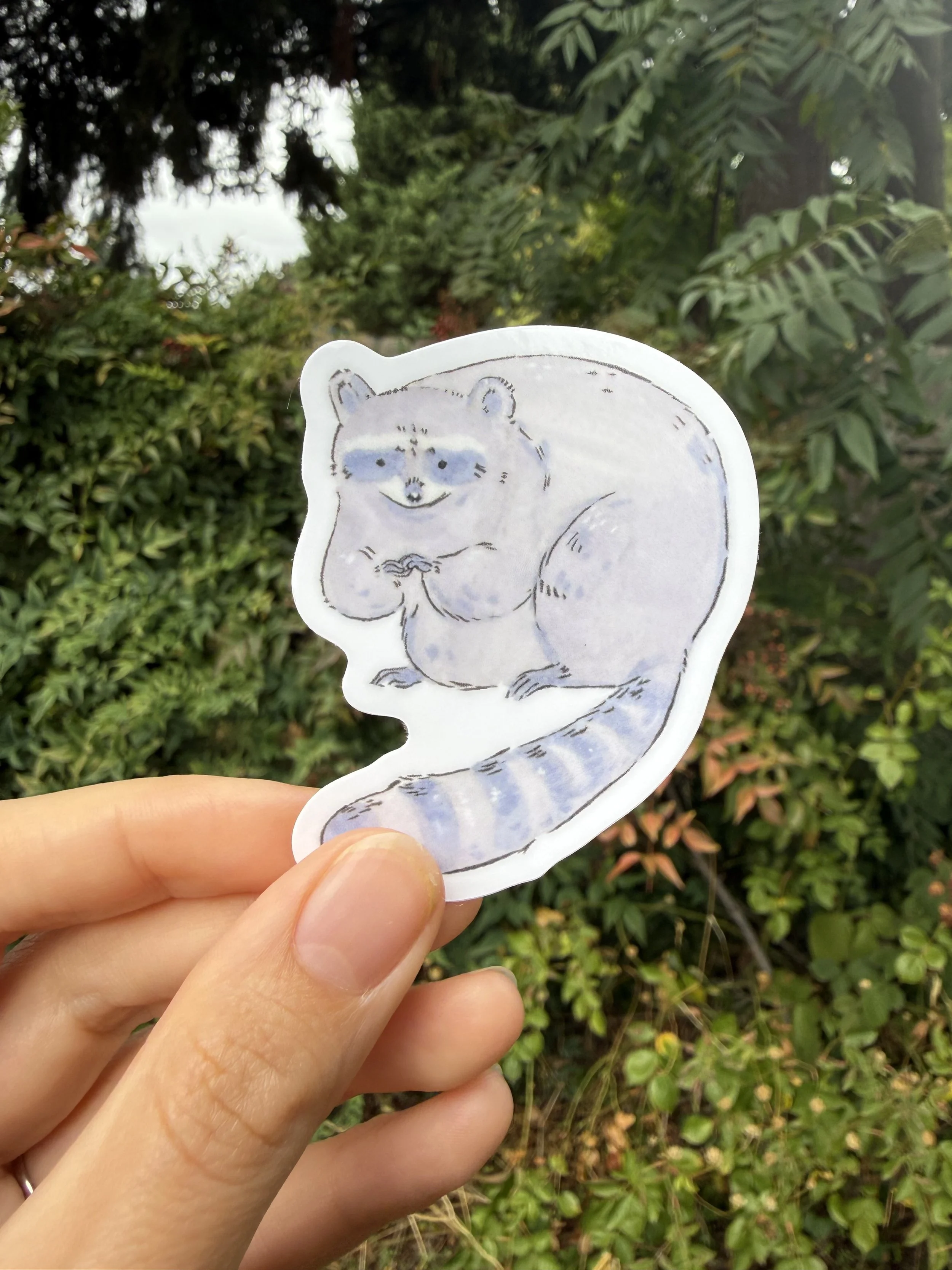 IMG_5659.jpeg