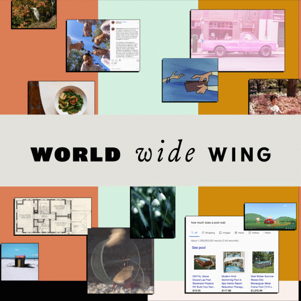 World Wide Wing Newsletter