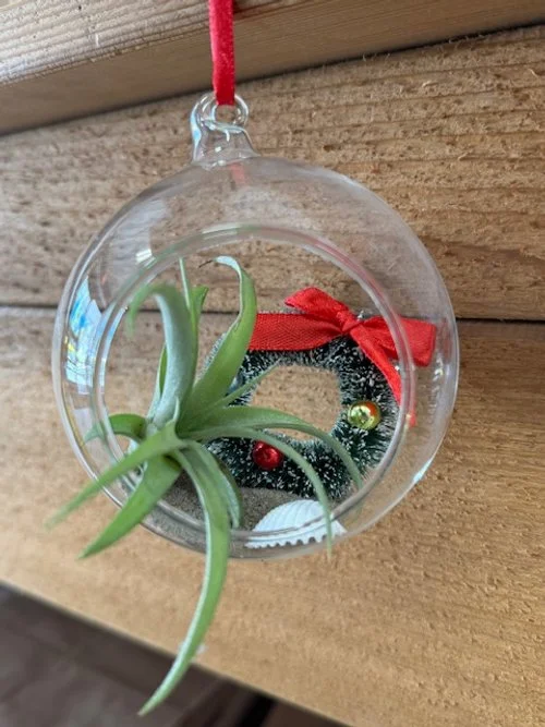 airplant ornament1.jpg