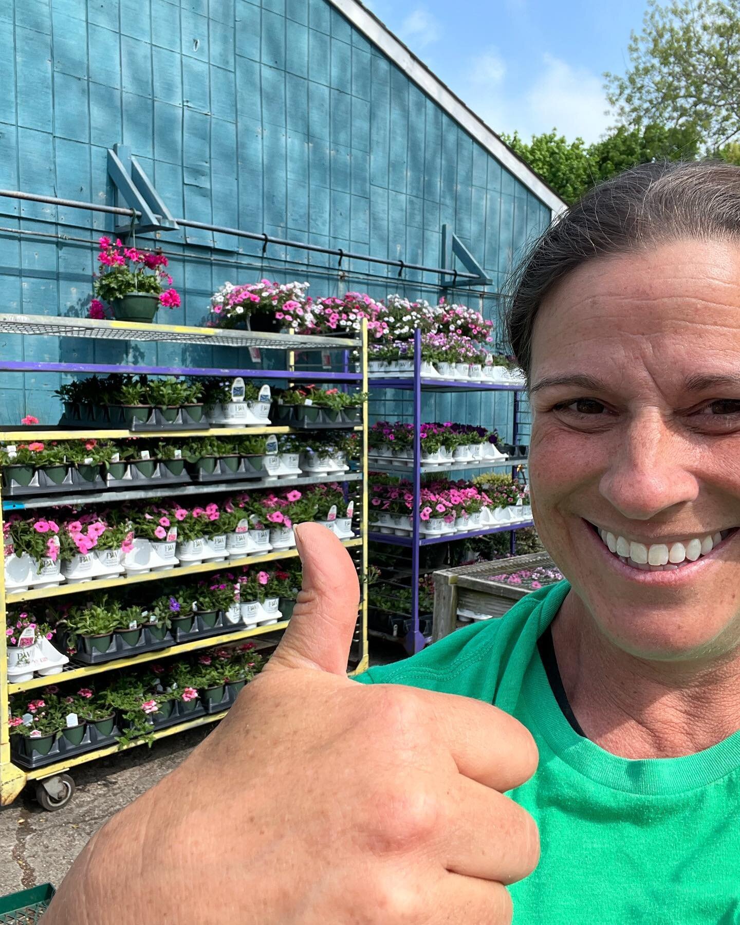It&rsquo;s flip day.  Everything inside comes out by color.  Veggie and herbs get their own house.  Tropicals, begonias, geraniums etc get their own house.  20,000 steps here we come!  #gardencenterlife #teamworkmakesthedreamwork #ilovemyjob #shopsma