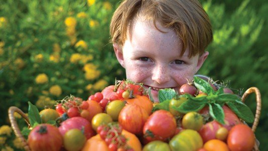 Tomato Tips for a better summer harvest