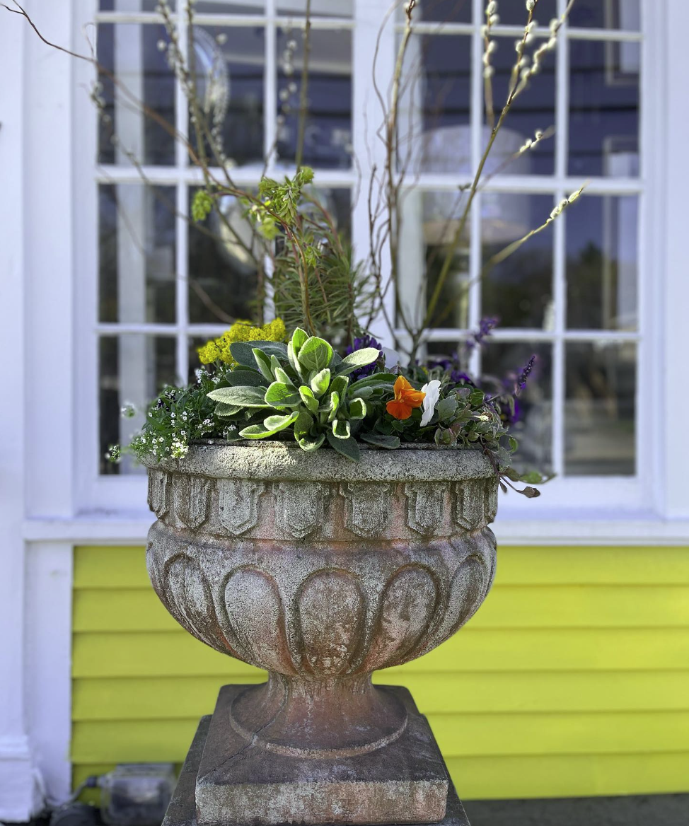 Pick the Perfect Pot - FineGardening