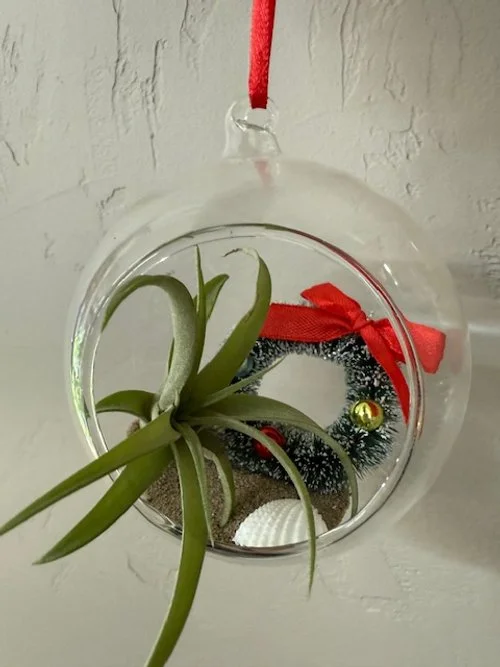 airplant ornament.jpg