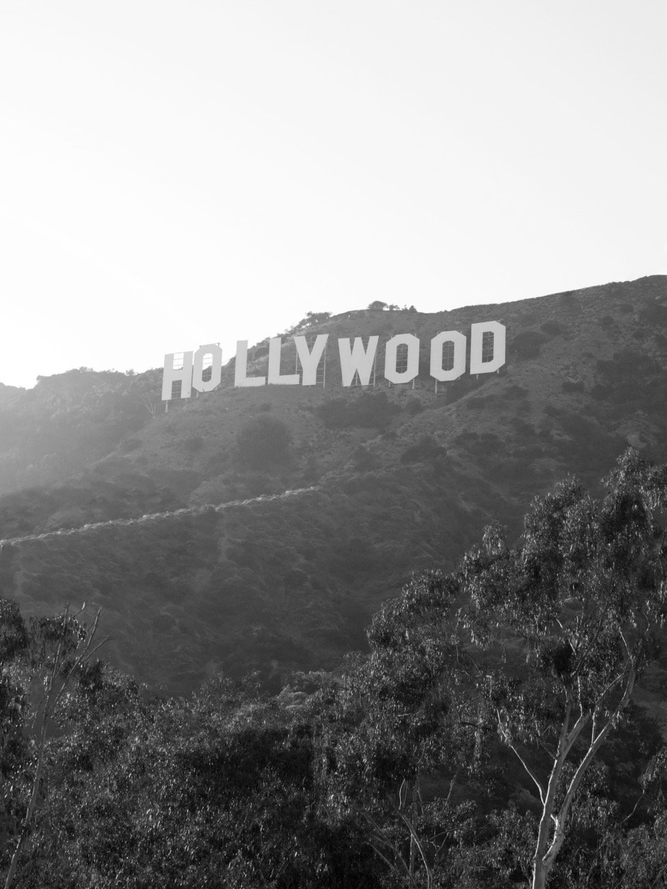 HW-SI-BW Hollywood Sign Large.jpeg