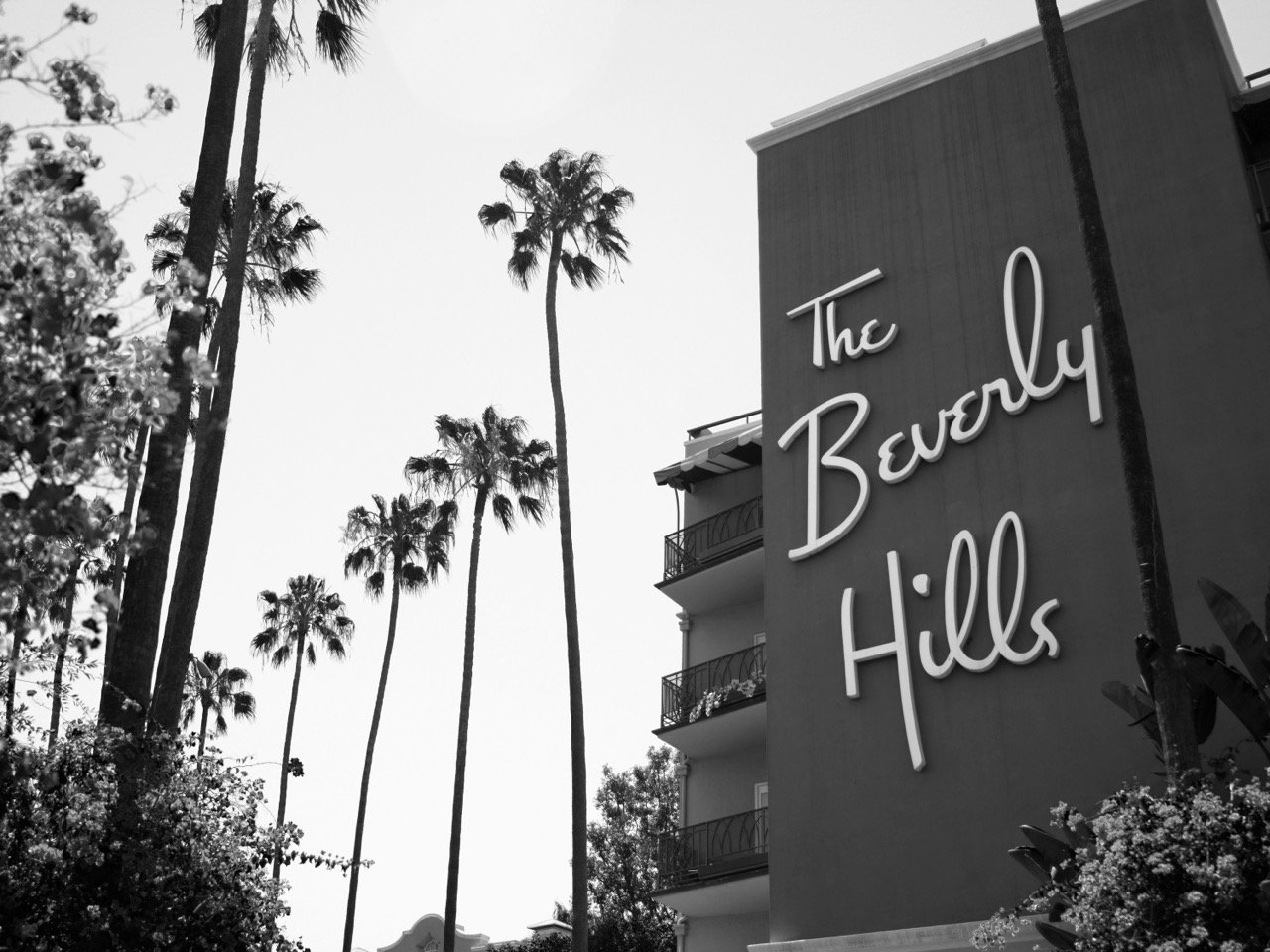 BH-SI-BW Beverly Hills Sign v3 Large.jpeg