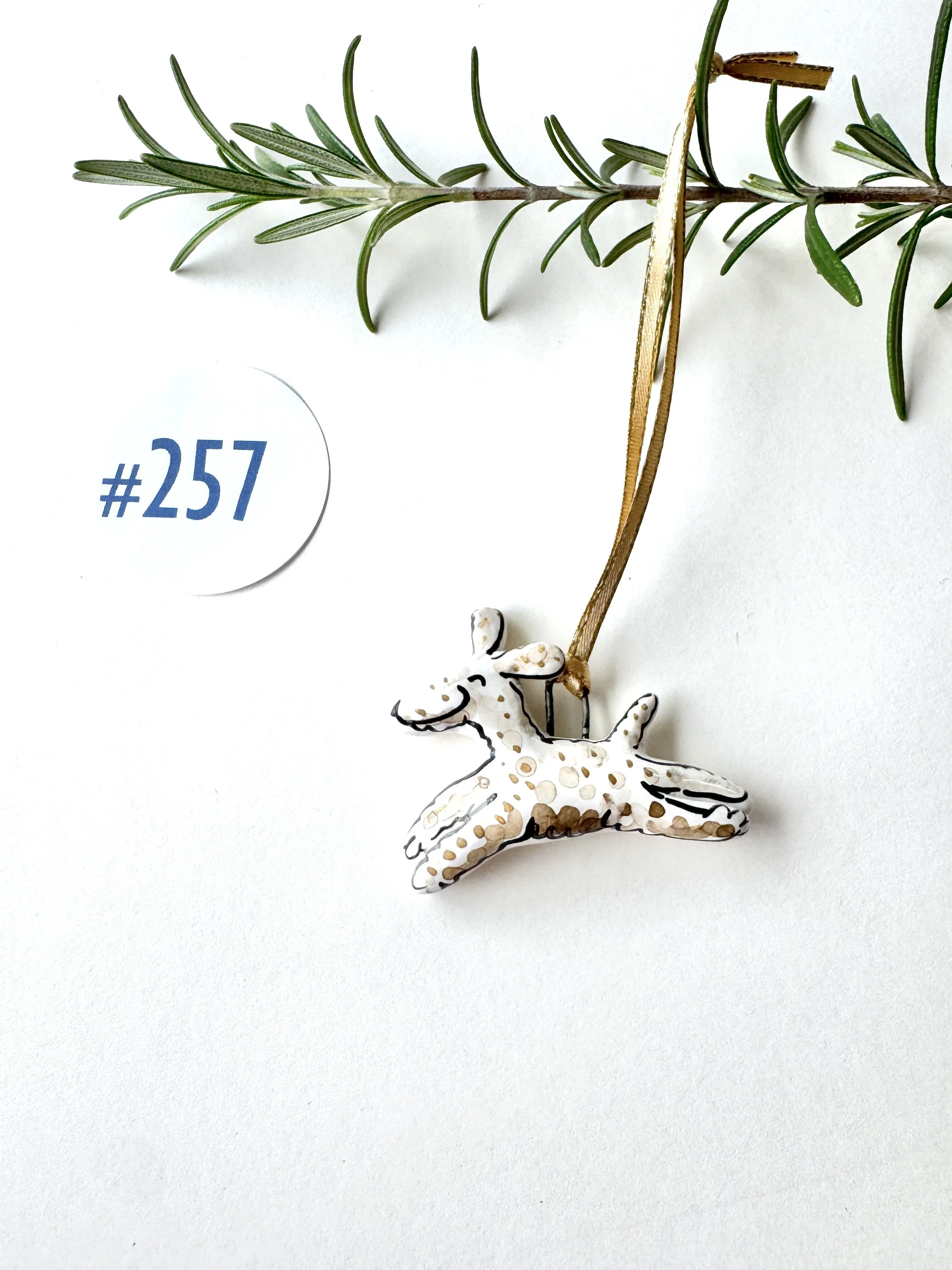 #257 Tiny Brown Curly Dog