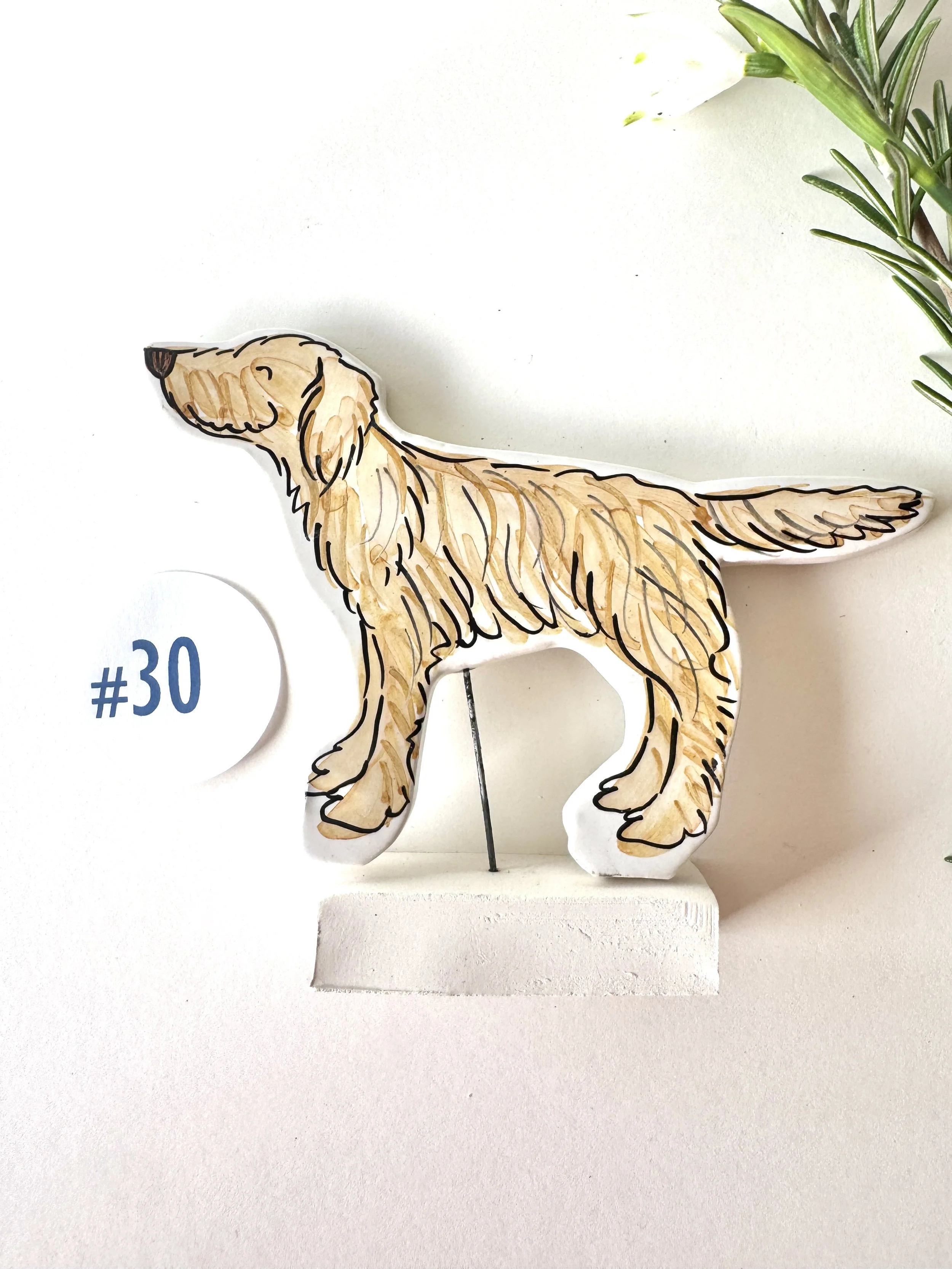 #30 Retriever