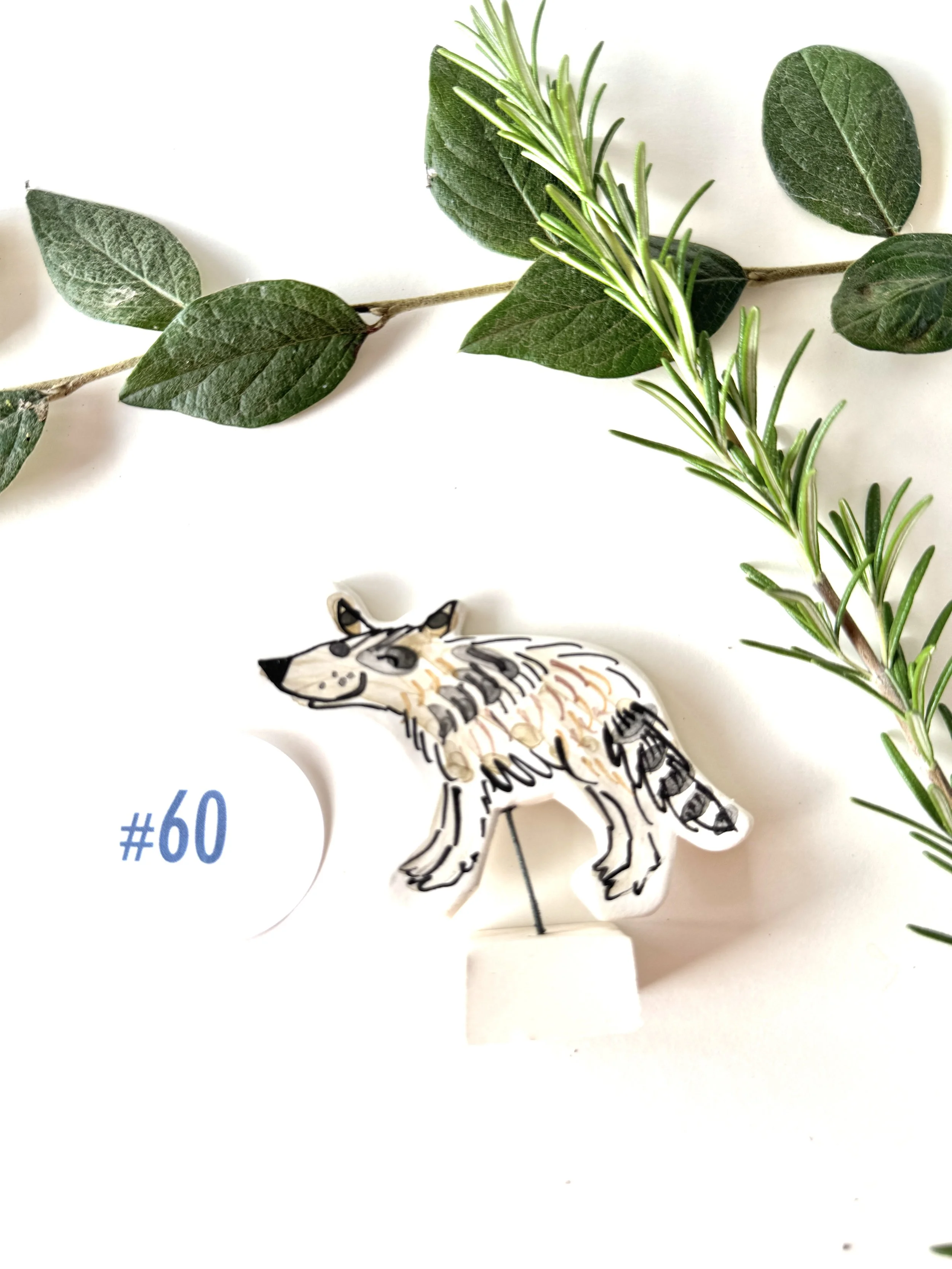 #60 Raccoon